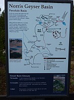 Yellowstone Norris Geyser (1).JPG